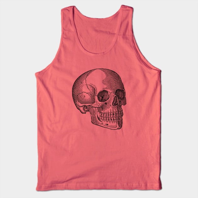 Human Skull - Vintage Anatomy Tank Top by Vintage Anatomy Prints